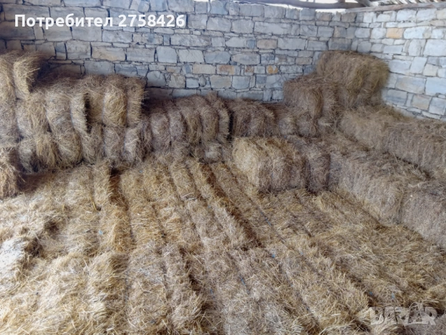  сено малки бали, снимка 2 - За селскостопански - 53323059