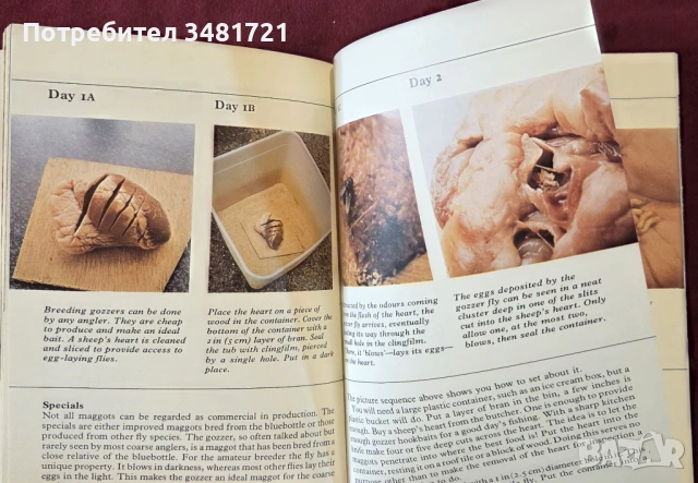 Справочник на рибарските стръв и примамки / Pocket Guide to Bait and Lures, снимка 5 - Енциклопедии, справочници - 53748362