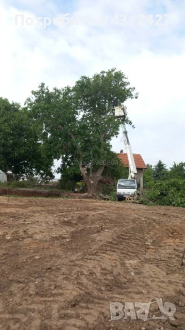 Услуги с автовишка , снимка 8 - Индустриална техника - 48128050