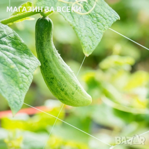 Мрежа за увивни растения и зеленчуци, снимка 2 - Огради и мрежи - 53826928