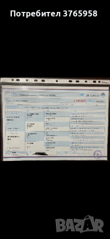 Кане корсо с родословие, снимка 5 - Кане корсо - 54014122