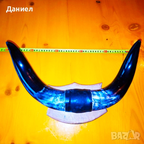 Декорация от рога на воден бивол, снимка 8 - Декорация за дома - 52028966