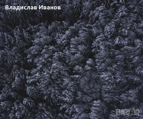 Професионален Фотограф: Сватби, Балове, Кръщенета и Събития, снимка 15 - Фотографи - 54191630