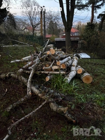 Безплатно дърва, снимка 3 - Дърва за огрев - 54242610