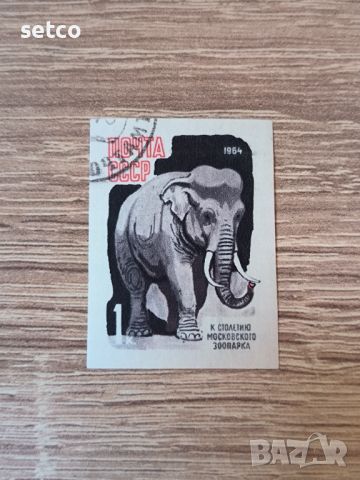 СССР Фауна 100 г. Московски зоопарк 1964 г., снимка 1 - Филателия - 46294222