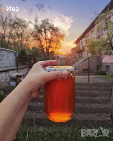 Натурален пчелен мед 