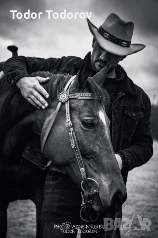 Фотосесия с кон | Артистичен стил и незабравимо изживяване, снимка 4 - Други услуги - 53926290