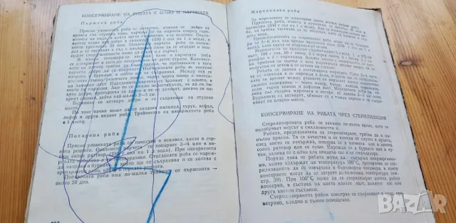 Домашно консервиране - Колектив, снимка 14 - Специализирана литература - 46851907