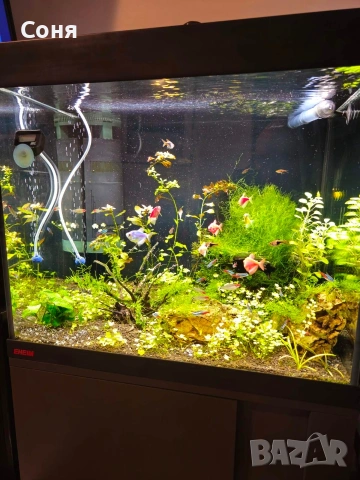 Аквариум с поставка EHEIM Vivaline 150 - антрацит