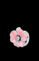 Outlet Sale Сребърен елемент Пандора spring flower-цвете,peach-pink/нов, снимка 1 - Колиета, медальони, синджири - 44966322