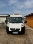 Peugeot boxer хладилен, снимка 4