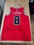 Authentic Chicago Bulls Jersey - Like New, Beautiful Condition- Size M, снимка 2