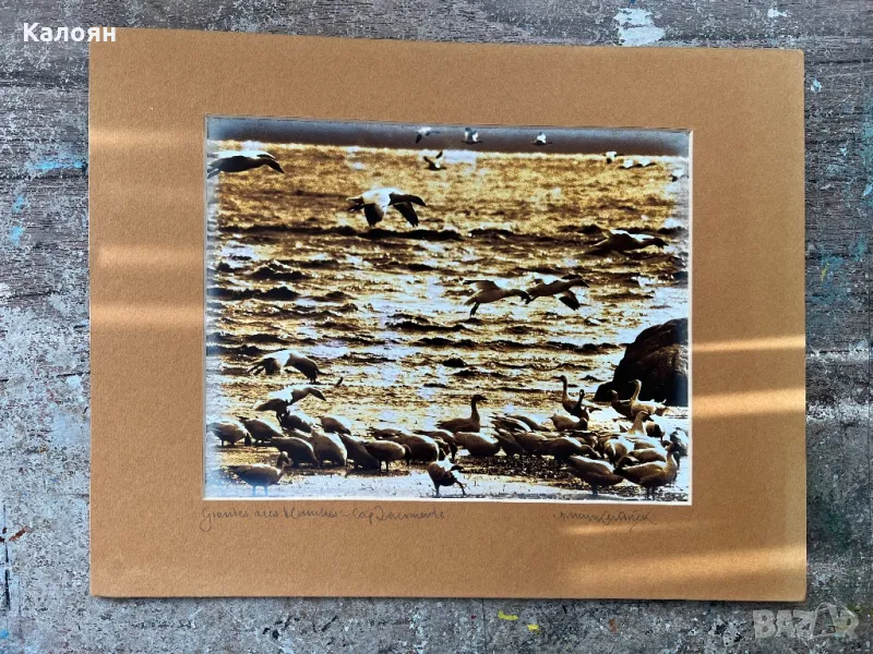 Фотография с паспарту на американския фотограф Артур Кендрик, снимка 1