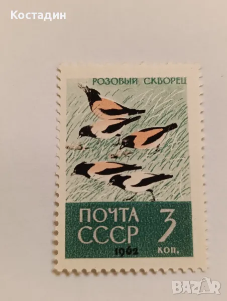 Пощенска марка СССР 1962, снимка 1