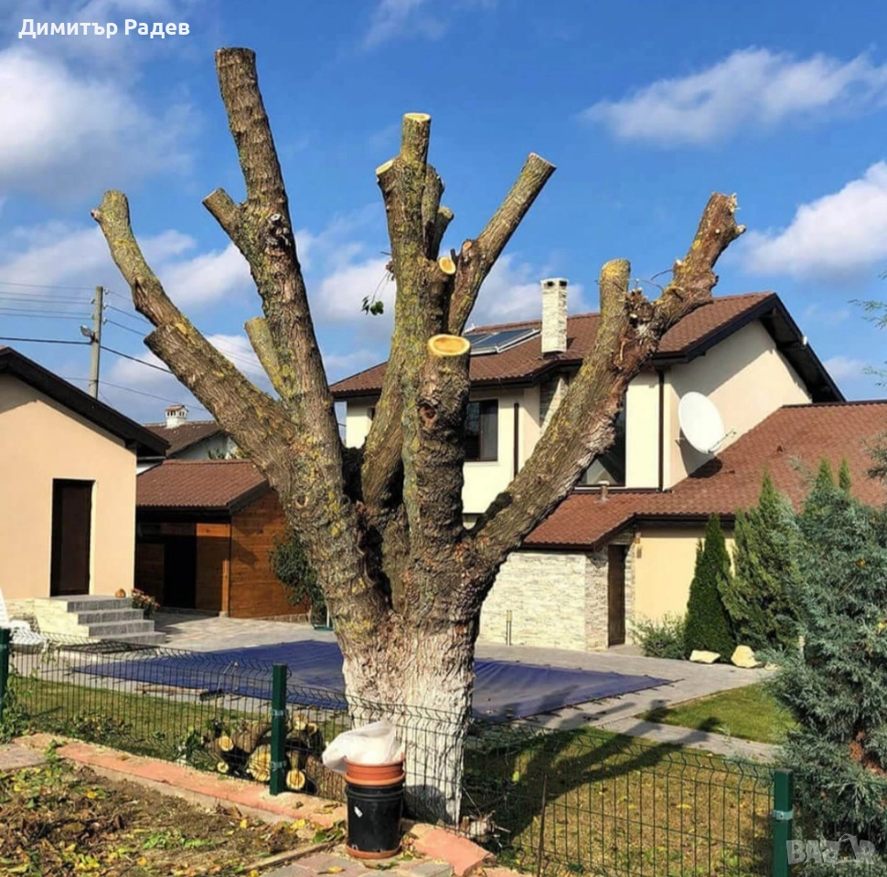 услуги, снимка 1