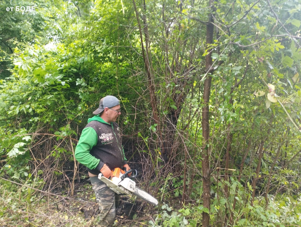 Почистване на терени от дървета и храсти, снимка 1