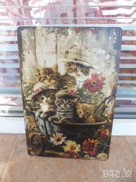 Метална табела котета котенца цветя саксия разни количка сладки сладички шапки декорация, снимка 1