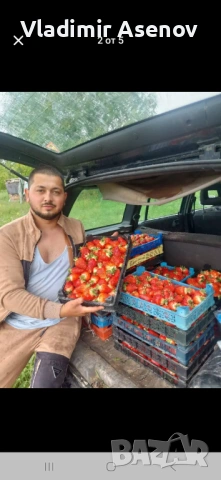 Ягоди, снимка 6 - Козметични уреди - 53940999