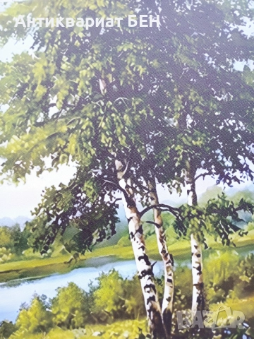 " ГОРСКИ РАЙ " 💯, снимка 8 - Картини - 52444354