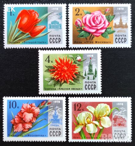 СССР, 1978 г. - пълна серия чисти марки, цветя, 4*16, снимка 1 - Филателия - 46775255