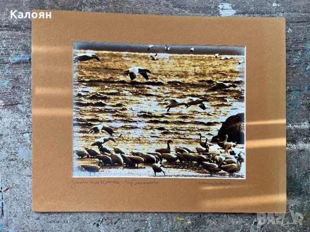 Фотография с паспарту на американския фотограф Артур Кендрик