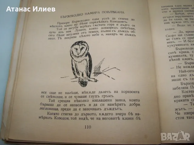 "През води и гори" от Емилиан Станев издание 1943г., снимка 4 - Художествена литература - 46937314