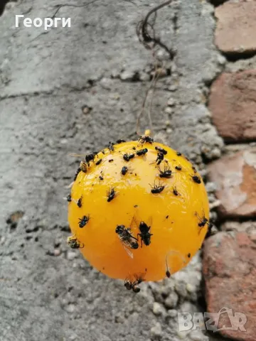 Филтри за басейн,гъби за мазнини,капани, снимка 4 - Басейни и аксесоари - 50168342