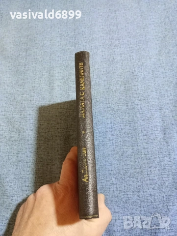 Александър Дюма /син/ - Дамата с камелиите , снимка 3 - Художествена литература - 53590256