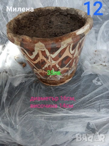 Саксии, снимка 9 - Саксии и кашпи - 53650030