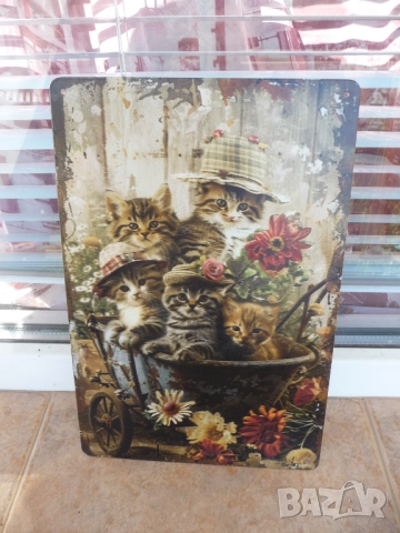 Метална табела котета котенца цветя саксия разни количка сладки сладички шапки декорация