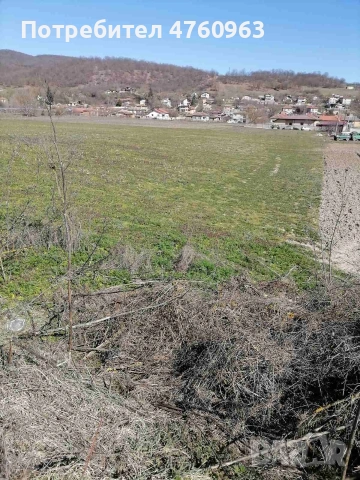 земеделска земя под наем 