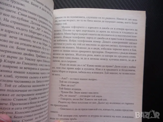 Мари, Мари Джули Парсънс психотрилър трилър престъпление лудост гняв, снимка 2 - Художествена литература - 50093769