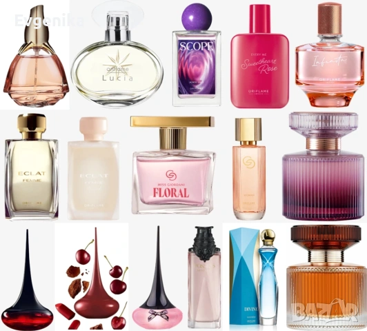 Amber Elixir, Divine, Love Potion, Infinita, Eclat Femme, Lucia