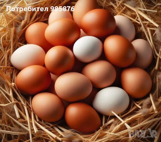 Домашни яйца от свободни кокошки , снимка 1