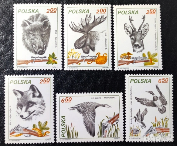 Полша, 1981 г., I лот - марки на теми личности, изкуство, балони, архитектура, лов, животни, тенис, снимка 9 - Филателия - 53306489