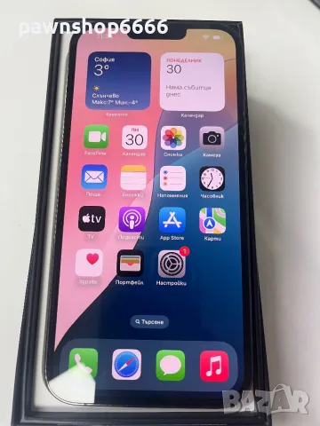 iPhone 13 Pro Max, снимка 1