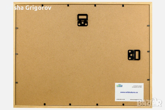 Фотокартина с благороден елен, снимка 3 - Декорация за дома - 53961030