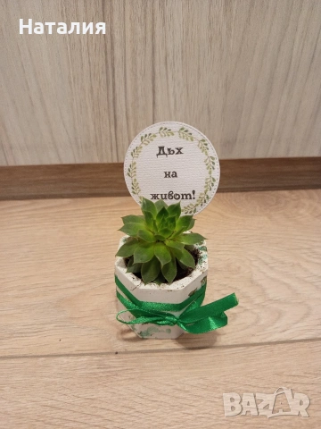 Гипсови кашпи и свещници., снимка 16 - Декорация за дома - 49763474