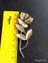 ВИНТИДЖ БРОШКА РЕТРО АРТ СТИЛЕН ДИЗАЙН 10921, снимка 5