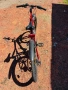 Велосипеди, снимка 8