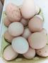 Пресни домашни яйца , снимка 1 - други­ - 45136707