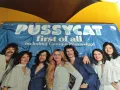 PUSSYCAT, снимка 2