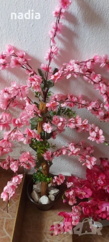 Изкуствени дръвчета ,различни видове, снимка 4 - Изкуствени цветя - 50632876