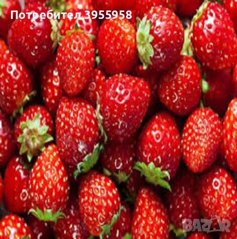 сладки и вишни и ягоди и горски плодове, снимка 3 - Домашни продукти - 46203870