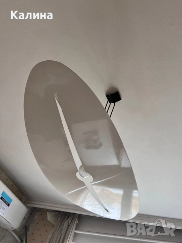 Полилей, снимка 3 - Полилеи - 52369094