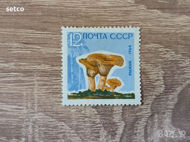 СССР Гъби 1964 г., снимка 1 - Филателия - 46204487
