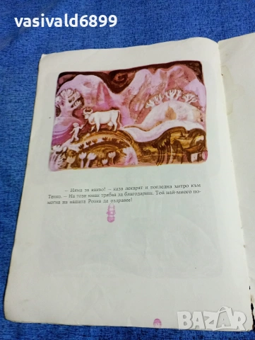 Таня Касабова - Розка , снимка 7 - Детски книжки - 53568616