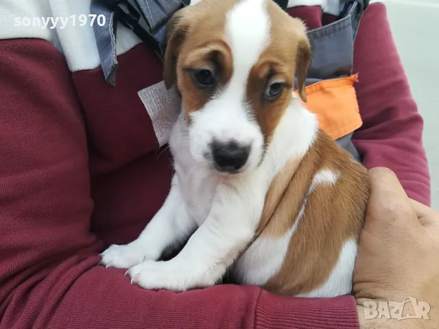 ДЖАК СИ ТЪРСИ ЖЕНСКА ЗА БЕБЕТА 0805251646, снимка 3 - Търси партньор - 50208685