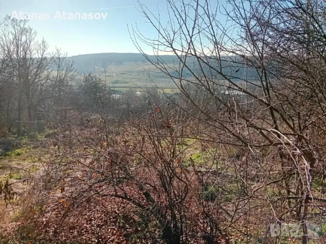 Къща във село Съединение , снимка 3 - Къщи - 48586857