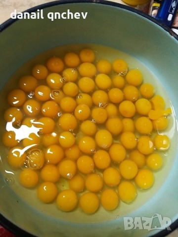 пъдпъдъчи яйца винаги пресни 12бр тарелка, снимка 4 - други­ - 51764457